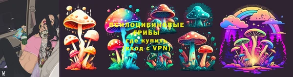 apvp Балахна