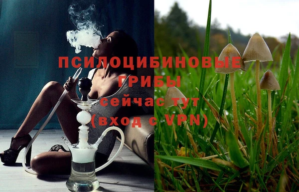 спиды Баксан