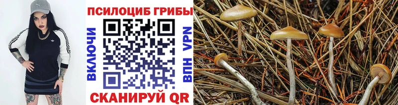 Псилоцибиновые грибы мухоморы  Купить закладки  Вязьма 